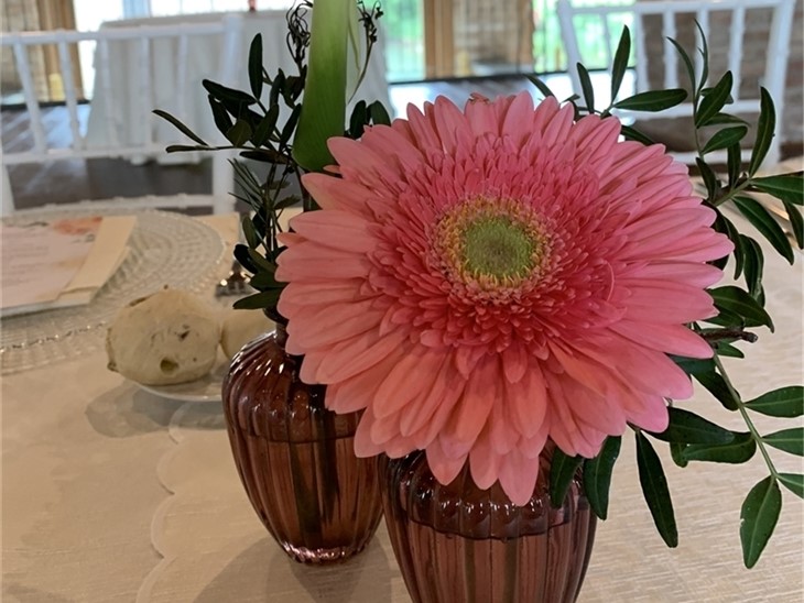 Prime Comunioni<br> e Cresime 2026